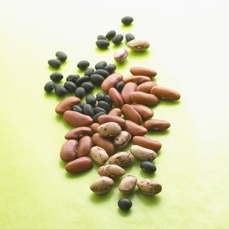 Variety of Dried Beansの写真素材