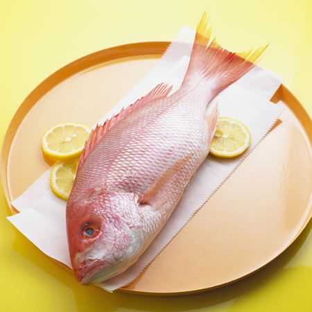 Whole Red Snapperの写真素材