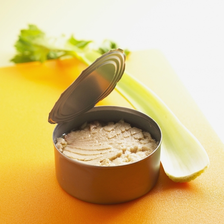 Can of Tuna and Celeryの写真素材