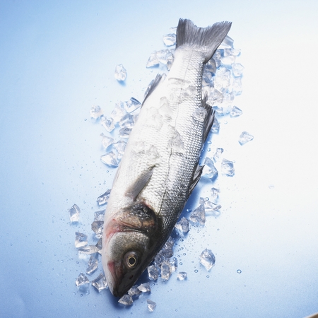 Whole Fishの写真素材