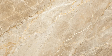 Marble texture abstract background pattern with high resolution. Natural stone.の素材