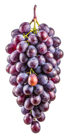 Bunch of red grapes isolated on white background. Clipping pathの素材