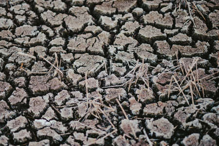 Close up view of dry cracked ground. Natural ground texture background