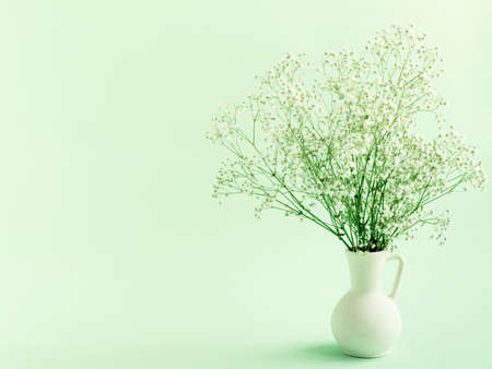 White gypsophila flower in vase on light green background. Springtime composition with copyspaceの写真素材
