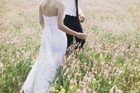 Wildflowers on a meadow in a sunny day. Shot with a selective focus.の写真素材