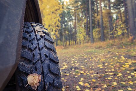 mud tires, autumn background, travel. close up, copy space