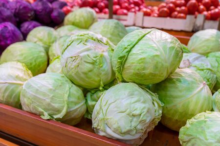 Many fresh cabbage on the counter supermarket or vegetable market. fresh autumn harvest, healthy vegetables and vitaminsの写真素材