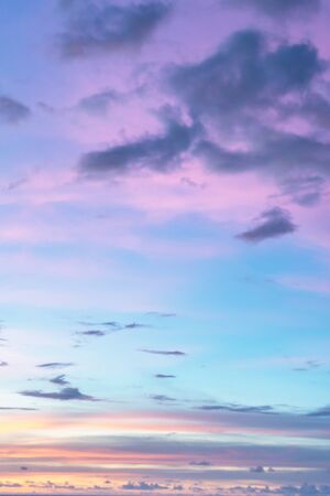 sky in the tropics, tropical landscape, purple shades, vertical photo.の写真素材