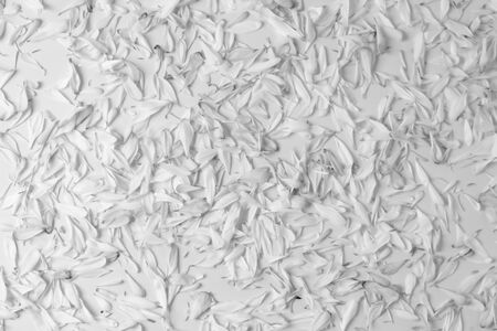 floral spring background of petals, decor for design, eco style black and white texture, soft focusの写真素材