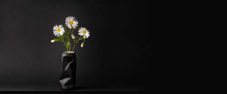 three white daisies in a black graphic vase from a crumpled old jar on a dark background. place for copy space text, layout for designの写真素材