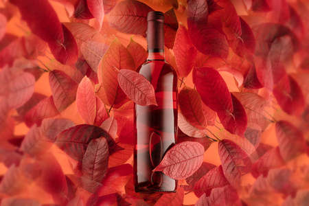a bottle of red or rose wine on a background of autumn leaves, horizontal close-up photo.の写真素材