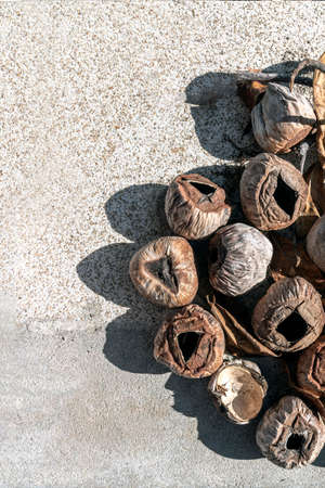 old empty dry coconuts lie on the concrete under the sunの写真素材