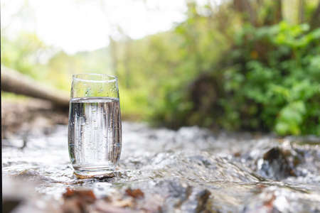 a glass of clean transparent drinking water in a transparent glass on a stone in a green forest near...