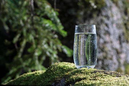 a glass of drinking pure mineral water in a transparent glass, stands on green moss. The background is a green forest in summer. health and cleanlinessの写真素材