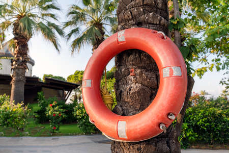 a lifebuoy on a tree, in a hotel by the pool. Safe bathing of children and adults at the sea or relaxing by the pool in summerの写真素材