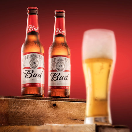 Two bottles of cold Budweiser beer and a glass of beer on a red background, the legendary American beerのeditorial素材