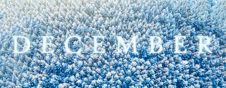 word December on the background of a winter forest of treetopsの写真素材