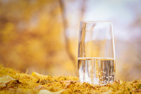 a glass of pure mineral water against the background of the autumn forest copy space . yellow foliage background healthy lifestyle.の写真素材