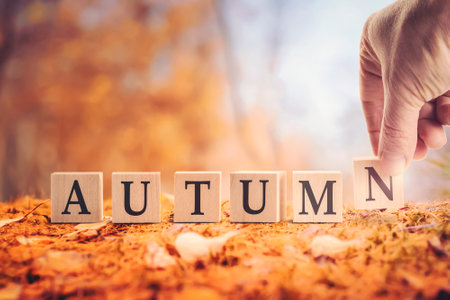 The word autumn from cubes in English. autumn background of leaf fall in the forest, a hand composes words from cubesの写真素材