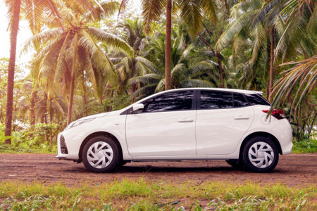 rental white car on vacation on an island among palm trees, trip by car.