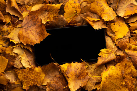 the mobile phone turned off with a black screen got lost in the foliage in the park. loss or blank...