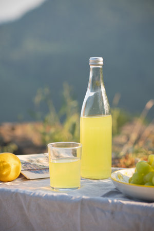 Savor a refreshing glass of lemonade and enjoy fresh fruits with a stunning view of the mountainsの写真素材