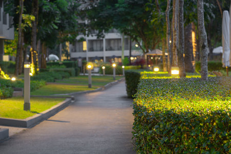 A lighted path among clipped shrubs and green lawns in a hotel in a tropical resort.の写真素材