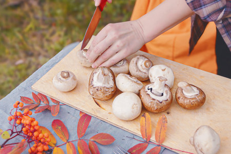 Slicing mushrooms in autumn at a picnic. slicing mushrooms on a table decorated with autumn leaves.の写真素材