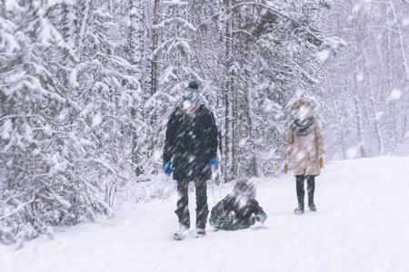 A happy family on a walk in the winter forest. Dad mom and child on a sled are walking through the forest among the trees on a winter snow-covered pathの写真素材