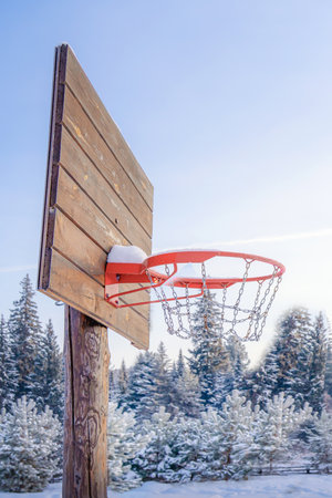 A basketball hoop stands prominently in a snowy clearing, adorned with frost. The backdrop features a beautiful coniferous forest, creating a tranquil winter atmosphere.の写真素材