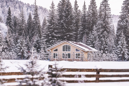 Charming cabin rests peacefully in a snowy landscape, surrounded by tall, snow-covered pine trees. Tranquil setting captures the beauty of winter in the mountains, with a wooden fence framing scene.の写真素材
