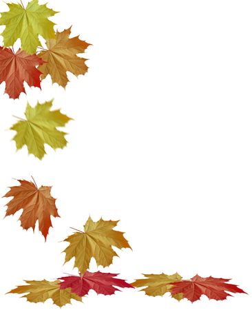 Autummの写真素材