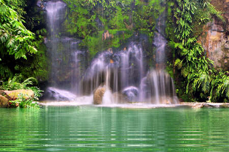 Waterfall in the deep forestの写真素材
