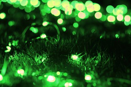 Green blur lights bokeh on grassの写真素材