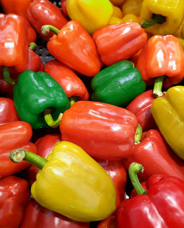 Diverse variety of capsicums  pepper with red yellow and green color backgroundの写真素材