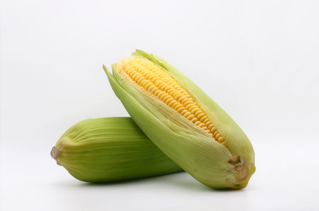 Fresh sweet corns with green leaves over white backgroundの写真素材
