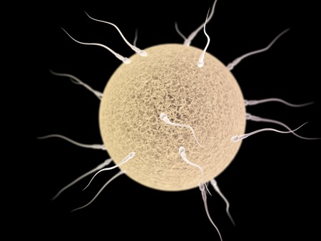 CGI visualization of the many spermotozoons with ovum (electronic microscope simulation) with focus...