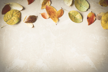 Rustic autumn background made of colorful fallen leaves. Minimal. Copy space for text.の写真素材