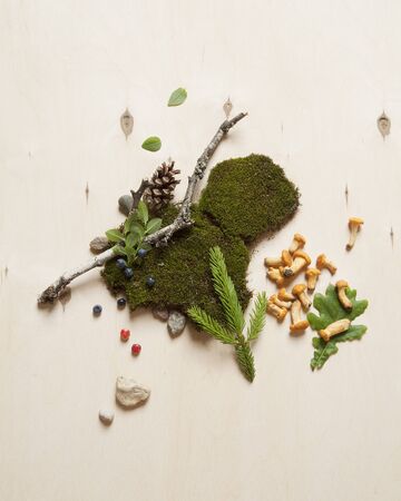 Forest berries, stones, mushrooms and tree branches on moss. Concept for ecologically friendly...