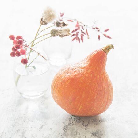 Autumn still life with whole pumpkin and berries on white background. Minimal. Selective focus.の写真素材