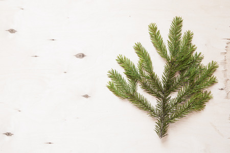 Spruce branch on wooden background. Copy space.の写真素材