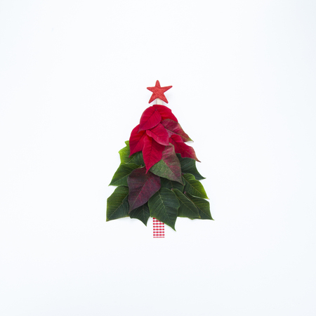 Creative Christmas tree made of poinsettia petals and leaves with red star on top on white background.