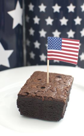 Brownie and american flag の写真素材