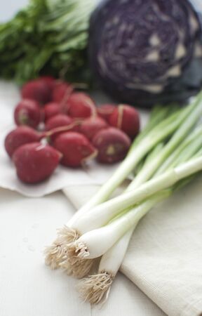 Green onion, radish, red cabbage の写真素材