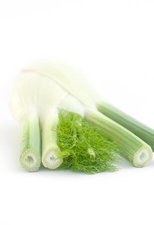 Fennel bulb isolated on white background verticalの写真素材