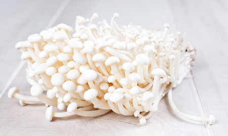 Raw enoki mushrooms horizontalの写真素材