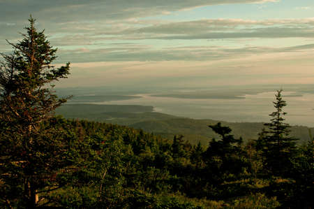 Beautiful forest in sun light of summer sunriseの写真素材
