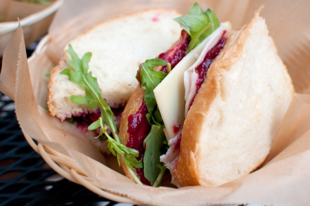 Smoked turkey and cranberry sauce sandwich with cheese