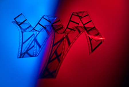 Strip of the film on color backgroundの写真素材