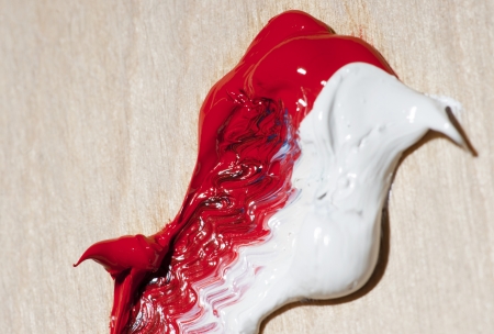 Red paint on the paletteの写真素材